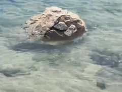-汕尾风车岛