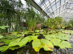 -北京植物园-展览温室