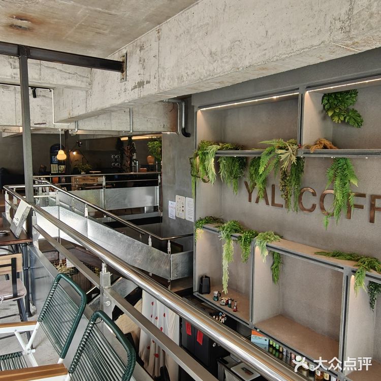 我的咖啡品鉴日记