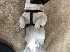 -Burger Bar 山沐西餐吧(钟村店)