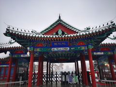 -莲花池公园