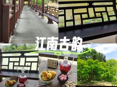 -江心屿景区