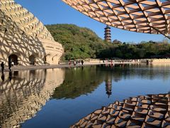 -牛首山文化旅游区