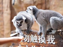 -北京野生动物园