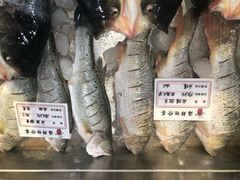 -赵记煎饼卷大葱(泰山大街店)
