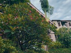 -普吉岛凯悦酒店