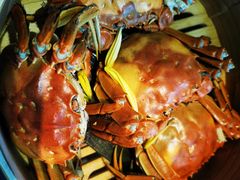 -蟹榭·本帮江浙菜·蟹宴(五角场合生汇商场店)