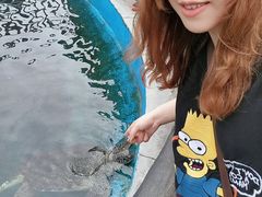 -广东惠东海龟国家级自然保护区