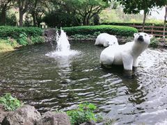 -济州岛泰迪熊博物馆