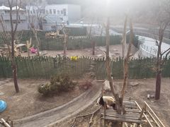 -沈阳森林动物园