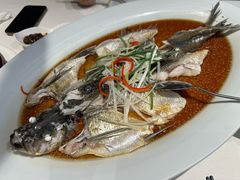 -丹江渔村(望京店)