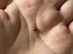 -好又惠小吃店(蛇口店)