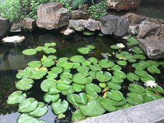 景点-张謇纪念馆