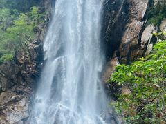 -陕西省红河谷森林公园