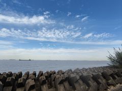 -上海滨江森林公园