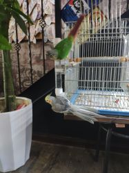 -日月刺青工作室·高端纹身