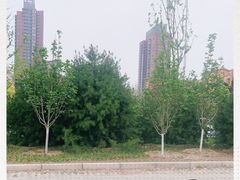 -呷哺呷哺 黄金牧场 (欢乐谷店)