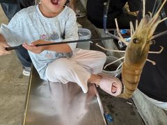 -粮心小农·大头虾亲子生态园(长发店)