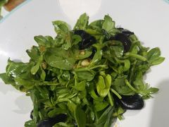 -和源祥·日照菜扛把子(万平口一店)