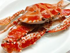 -郑厨私房菜