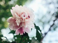 -仁和公园(顺义区)