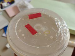-CoCo都可(健翔桥店)