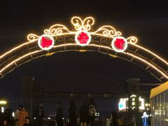 -武汉知音号