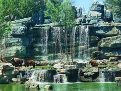 -北京野生动物园