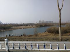 -哈尔滨大剧院