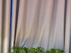 -蜀香三绝·牛蛙·烤鱼·天府炒鸡(安丘泰华店)