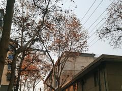 -西安市广仁寺