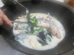 -鲜潭蒸汽石锅鱼(五道口购物中心店)