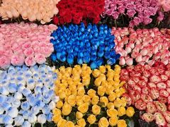 -越秀西湖花市(广州城市广场花卉店)
