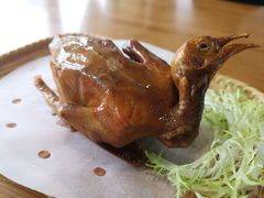 -五谷芳乳鸽王（大梅沙总店C区）(网红打卡店)