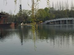 -百脉泉景区