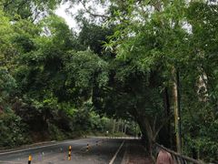 -大雁山风景区