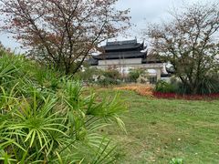 -苏州上方山国家森林公园