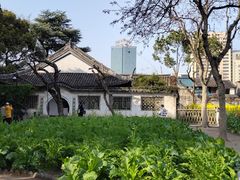 -绍兴鲁迅故里·沈园景区