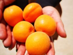 -燕北云山·农家菜·灶台鱼(密云溪翁庄店)