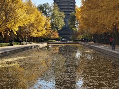 -玲珑塔公园