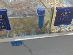 -皮记海鲜1995(寮步店)