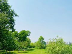 -Supine Bistro溯泮餐厅