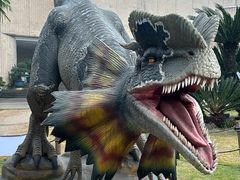 -自贡恐龙博物馆