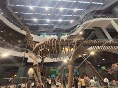 -辽宁古生物博物馆