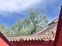 -五台山圆照寺