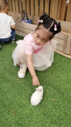 -萌宠亲子动物乐园(槐房万达店)