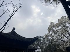 -何园