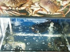 -渔中舟海鲜大排档(普陀沈家门店)