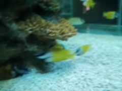-乌鲁木齐海洋馆