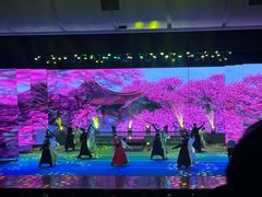 -南风大剧院莎梦二人转剧场